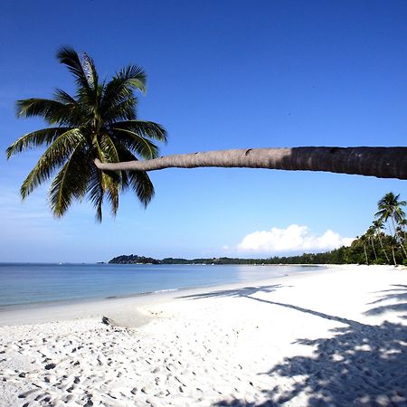 Nirwana Beach Club Lagoi Exteriör bild